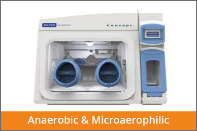 anaerobic & Microerophilic