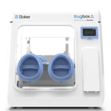 Bugbox Ax Anaerobic