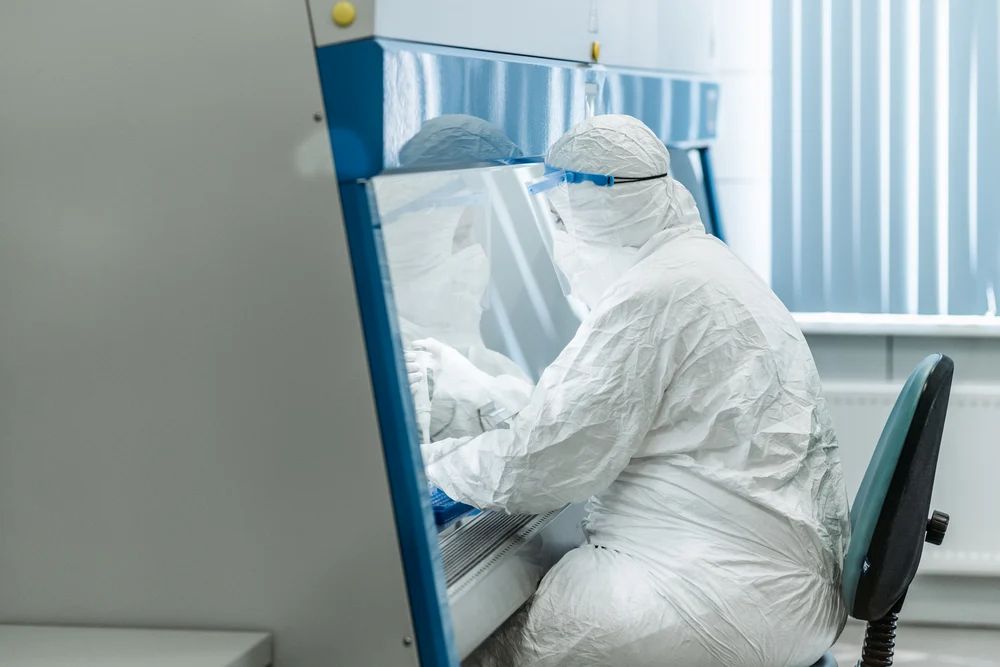 Researcher inside biological safety cabinet performing sterile laboratory microbiology procedures